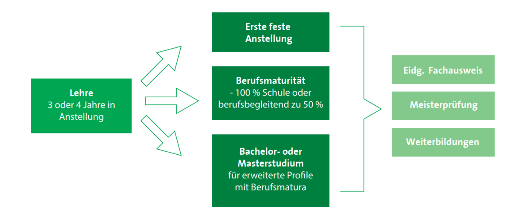 schéma_apprentissage