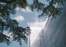 Le Groupe Vaudoise poursuit sa croissance et réalise un résultat annuel historique [image cover]